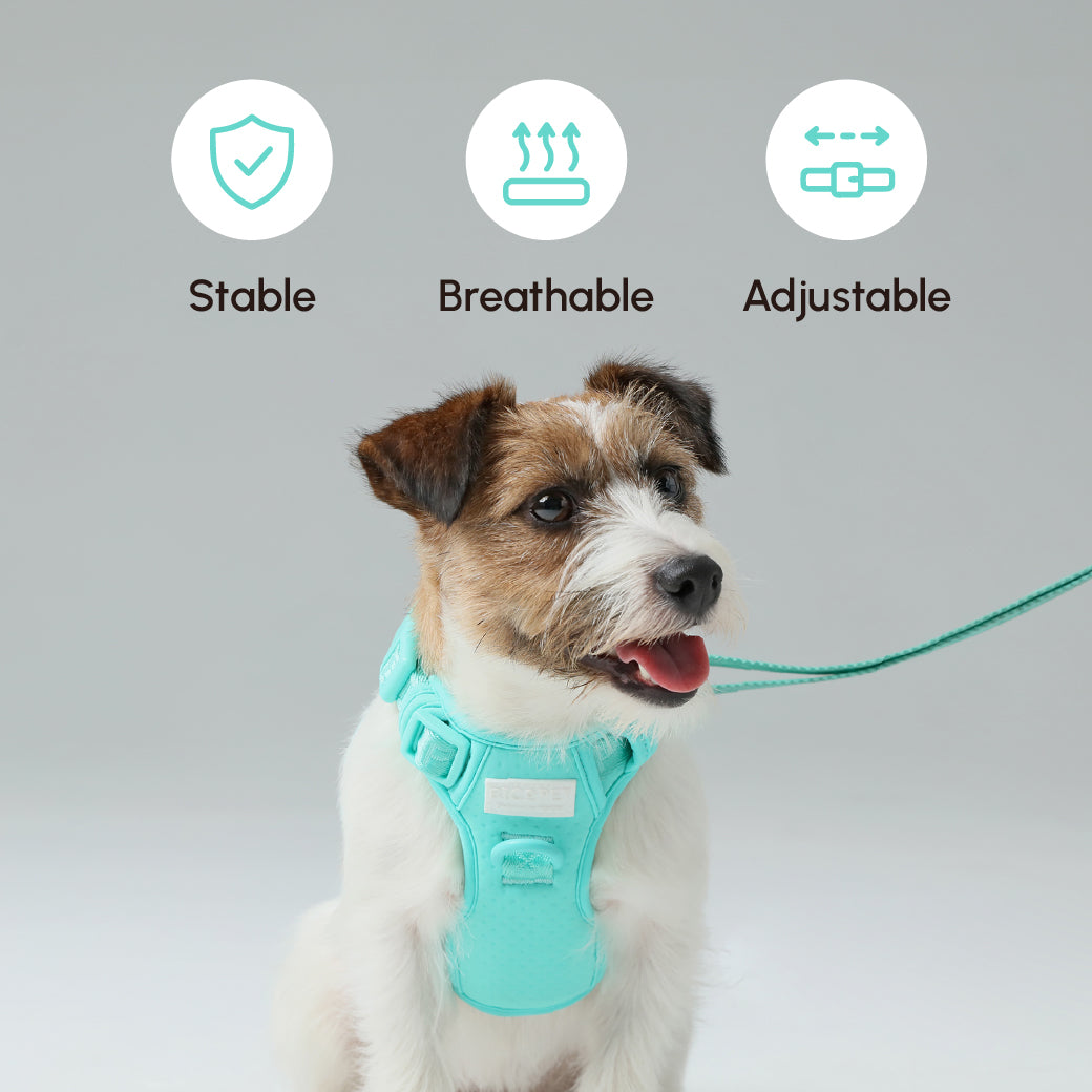 PADDED  ACTIVE  PET LEASH  - MINT GREEN