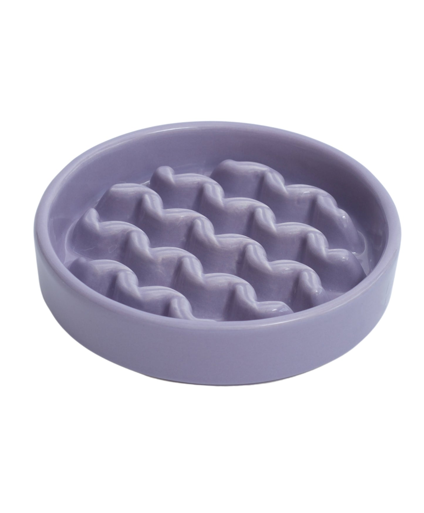 Slow Feeder Dog Bowls - Yellow / Frozen Blue / Purple