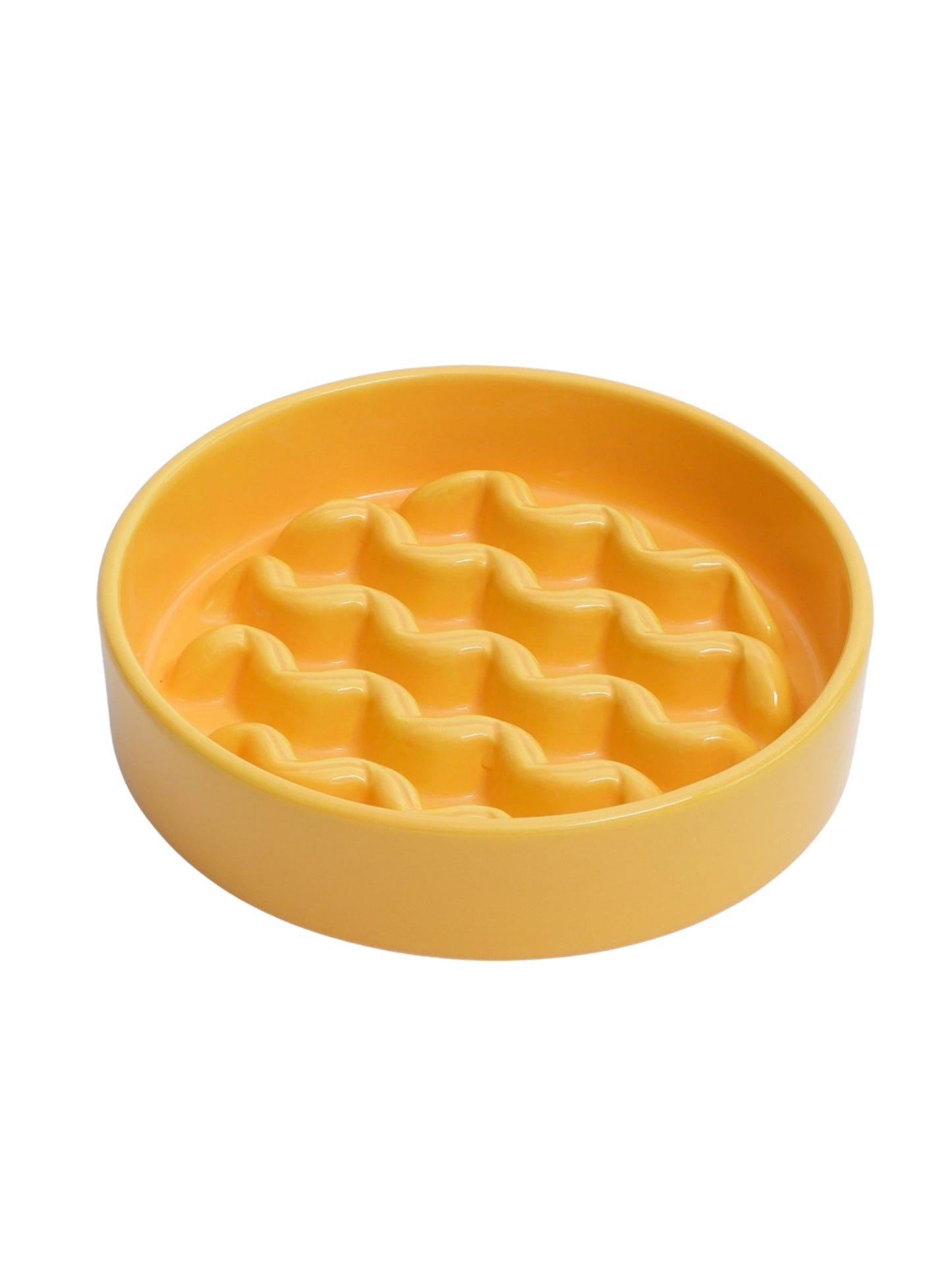 Slow Feeder Dog Bowls - Yellow / Frozen Blue / Purple